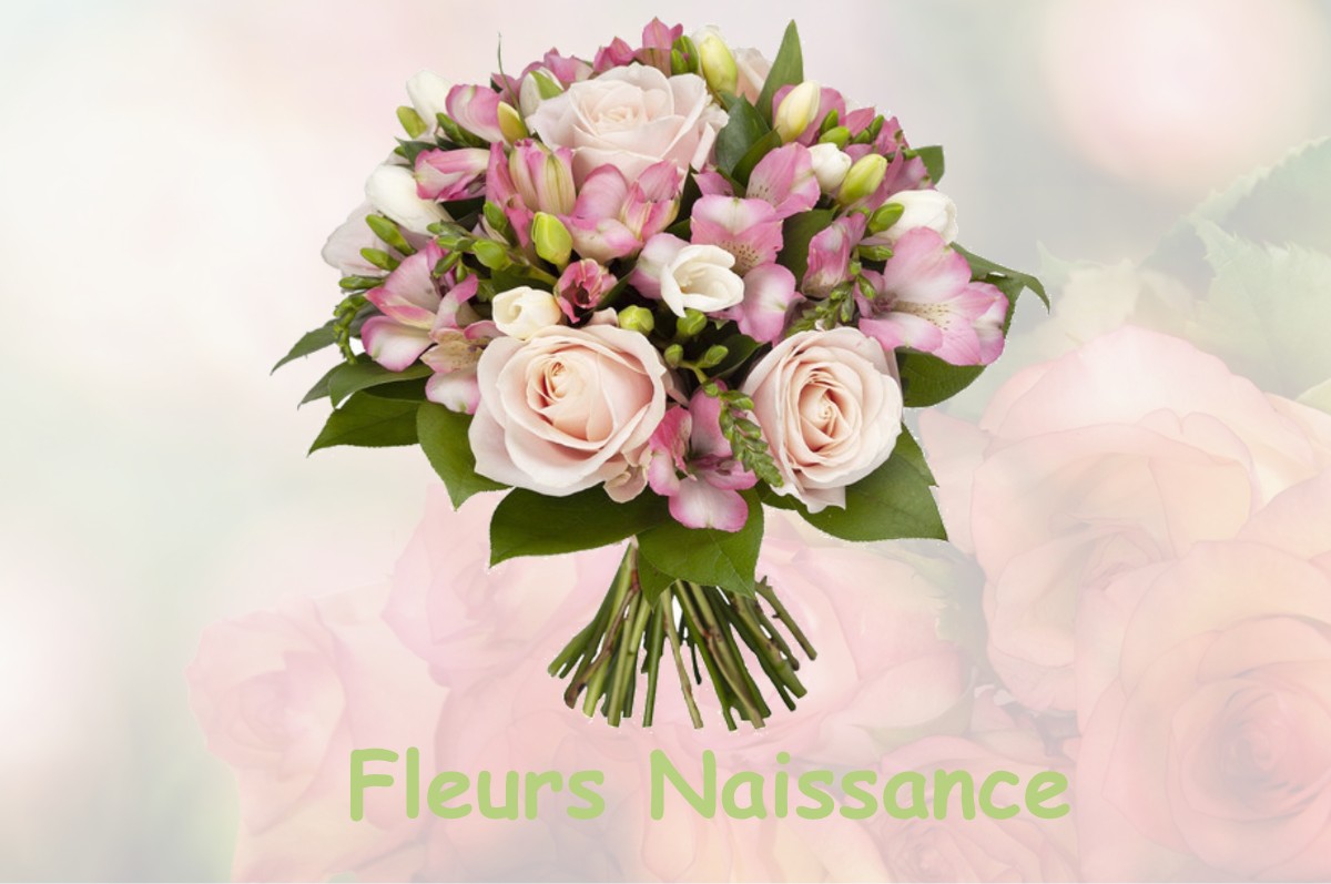 fleurs naissance LA-CHAISE-BAUDOUIN